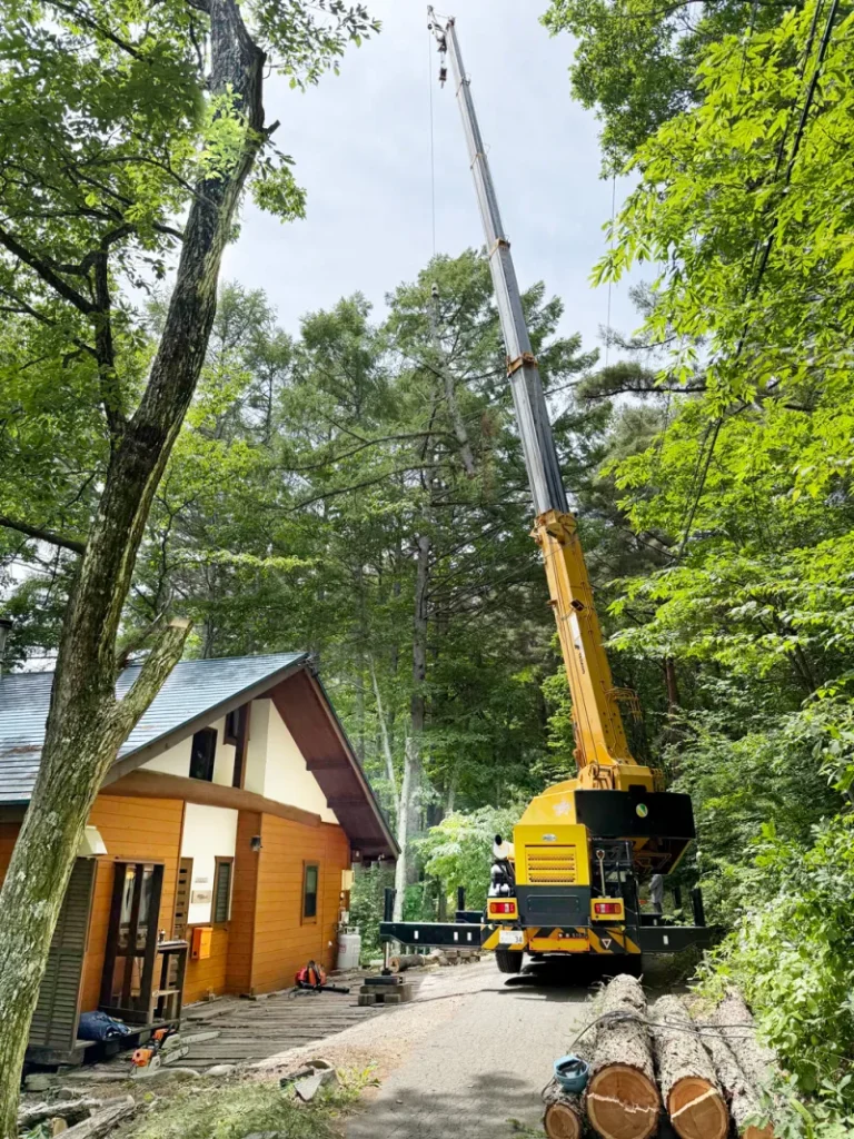 茅野市鏡湖別荘地 クレーンによる木の伐採 1