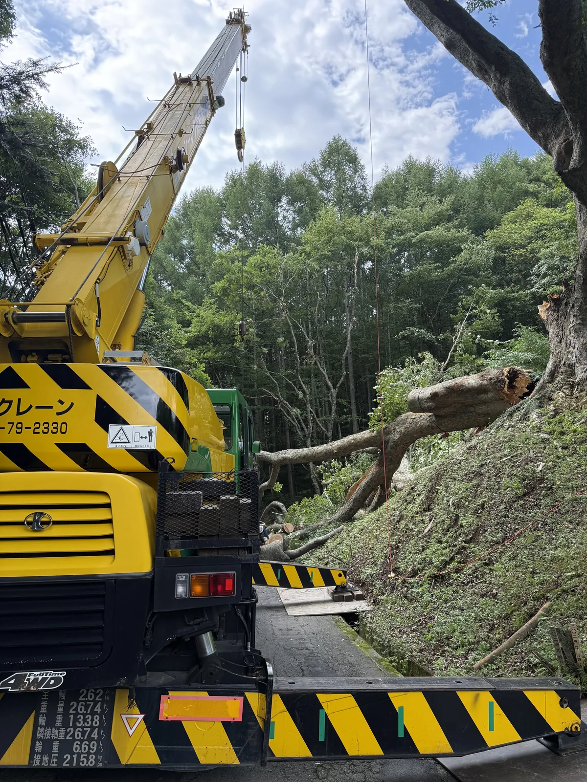 道路脇の斜面に倒れた樹木のそばに据えられた25tクレーン