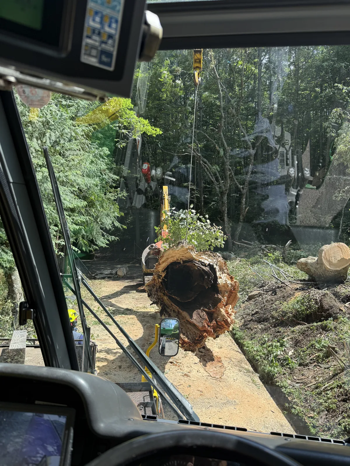クレーンで吊り上げられた倒木の根元部分(一里塚付近)