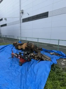 松本市今井で出張持ち込みした薪割り機と桜の丸太