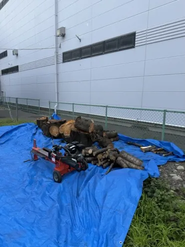 【松本市】桜の木の出張薪割り作業（今井）