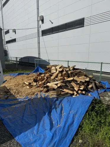 松本市今井で薪割りした桜の薪の山