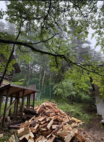 八ヶ岳三井の森で薪割りした薪の山